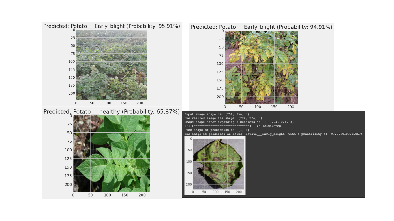 Predicciones reales del modelo — precisión hasta 97.35%